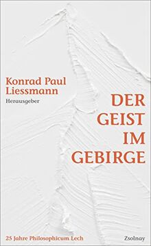 Der Geist im Gebirge: 25 Jahre Philosophicum Lech. Reflexion - Kritik - Aufklärung