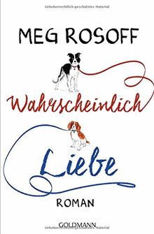 Wahrscheinlich Liebe: Roman