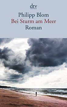 Bei Sturm am Meer: Roman