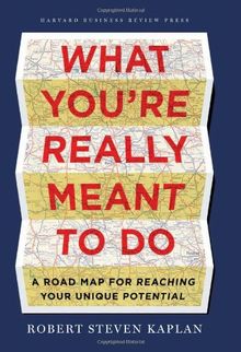 What you`re really meant to do: A Roadmap for Reaching Your Unique Potential