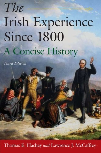The Irish Experience Since 1800: A Concise History