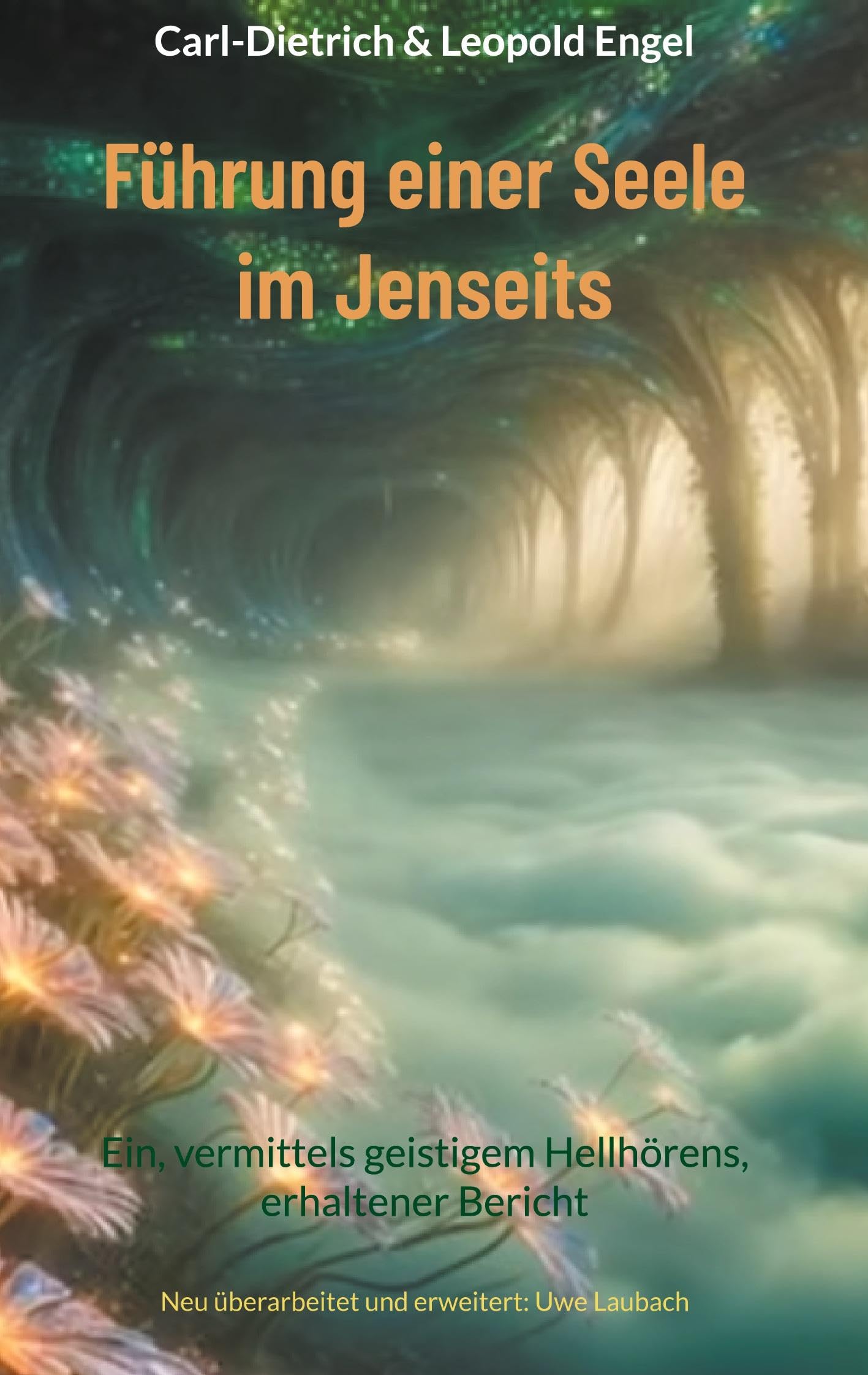 Führung einer Seele im Jenseits: Ein, vermittels geistigem Hellhörens, erhaltener Bericht
