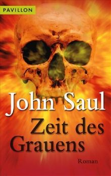 Zeit des Grauens: Roman