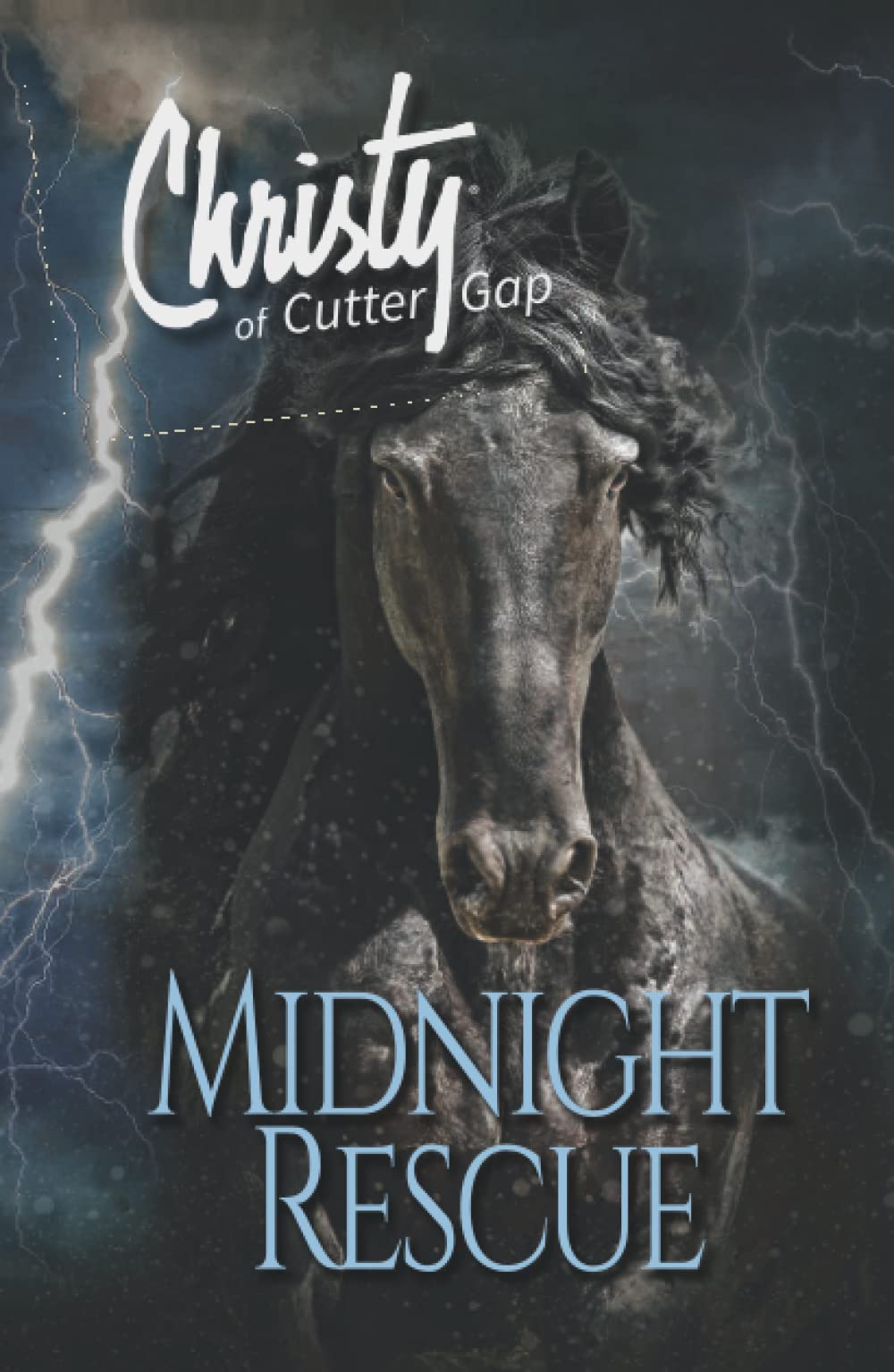 Midnight Rescue (Christy of Cutter Gap, Band 4)