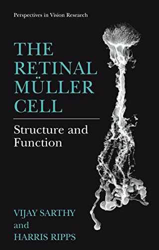 The Retinal Müller Cell: Structure and Function (Perspectives in Vision Research)