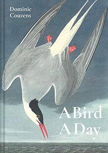 A Bird a Day