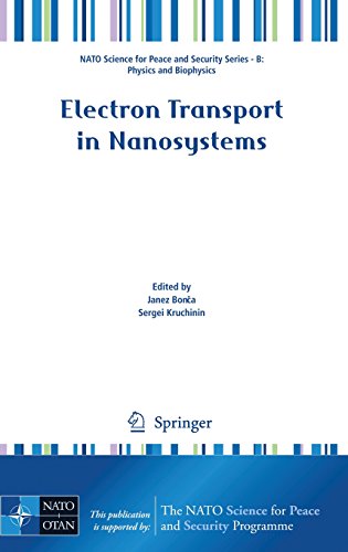 Electron Transport in Nanosystems (NATO Science for Peace and Security Series B: Physics and Biophysics)