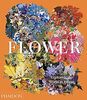 Flower: Exploring the World in Bloom (Documents)