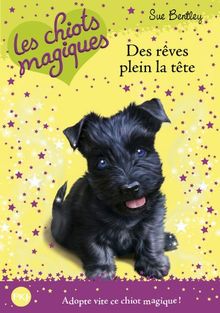 Les chiots magiques. Vol. 11. Des rêves plein la tête