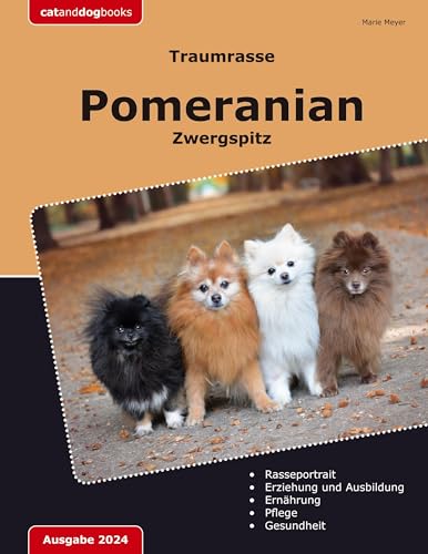Traumrasse Pomeranian: Zwergspitz