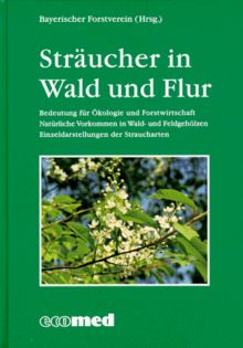 Sträucher in Wald und Flur