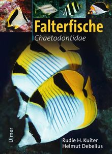 Falterfische. Familie Chaetodontidae. Marine Fischfamilien