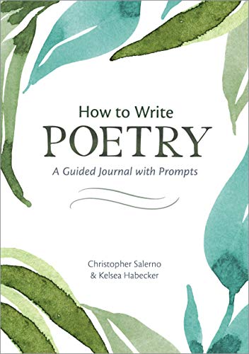 Christopher Salerno How To Write Poetry, A Guided Journal With Prompts To Ignite Your Imagination