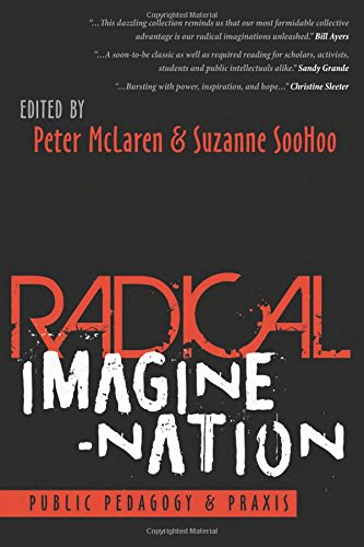 Radical Imagine-Nation: Public Pedagogy & Praxis (Education and Struggle, Band 13)