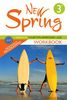 New Spring anglais 3e, A2-B1 : workbook