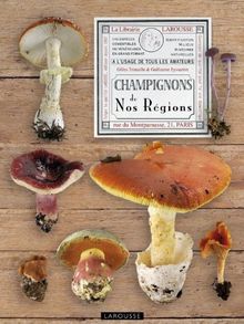 Champignons de nos régions