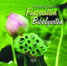 Faszination Bibelgarten