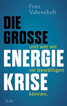 Die große Energiekrise: ... und wie wir sie bewältigen können