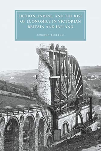 Fiction, Famine, and the Rise of Economics in Victorian Britain and Ireland (Cambridge Studies in Nineteenth-Century Literature and Culture, Band 40)