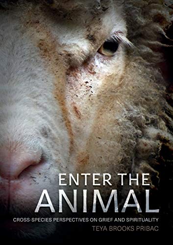 Enter the Animal: Cross-species perspectives on grief and spirituality (Animal Publics)