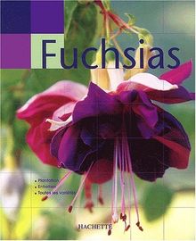 Fuchsias