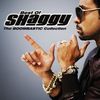 The Boombastic Collection-Best of Shaggy
