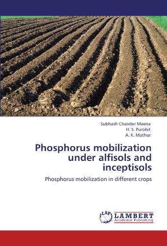 Phosphorus mobilization under alfisols and inceptisols: Phosphorus mobilization in different crops