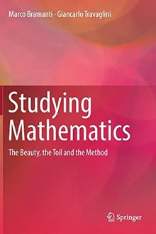 Studying Mathematics: The Beauty, the Toil and the Method