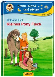 Kleines Pony Fleck