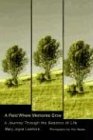 A Field Where Memories Grow: A Journey Through the Seasons of Life