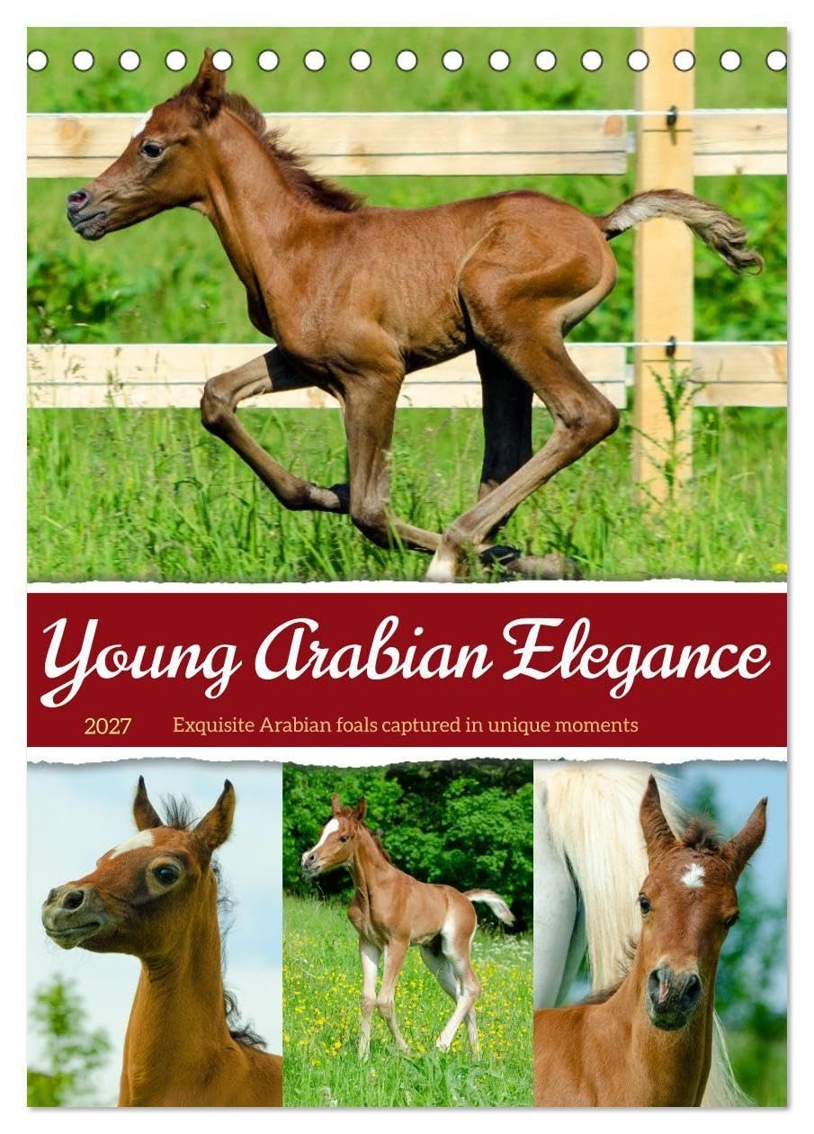 Young Arabian Elegance (Desk Calendar 2027 DIN A5 portrait), CALVENDO 12 Month DeskCalendar