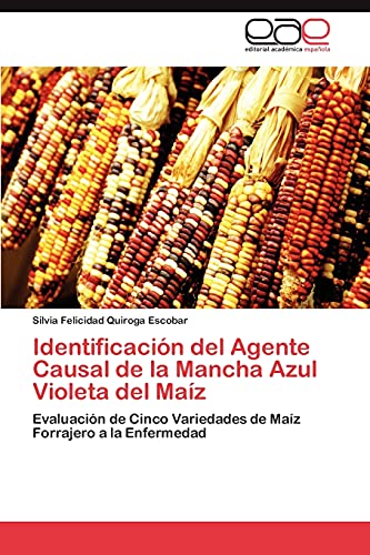 Identificación del Agente Causal de la Mancha Azul Violeta del Maíz: Evaluación de Cinco Variedades de Maíz Forrajero a la Enfermedad