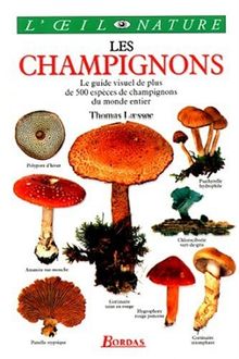 Les champignons