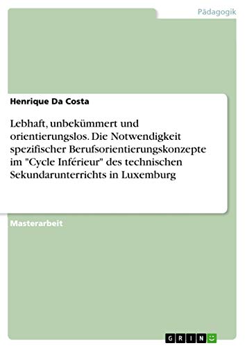 Lebhaft, unbekümmert und orientierungslos. Die Notwendigkeit spezifischer Berufsorientierungskonzepte im Cycle Inférieur des technischen Sekundarunterrichts in Luxemburg: Magisterarbeit
