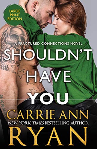 Shouldn't Have You (Fractured Connections, Band 2)