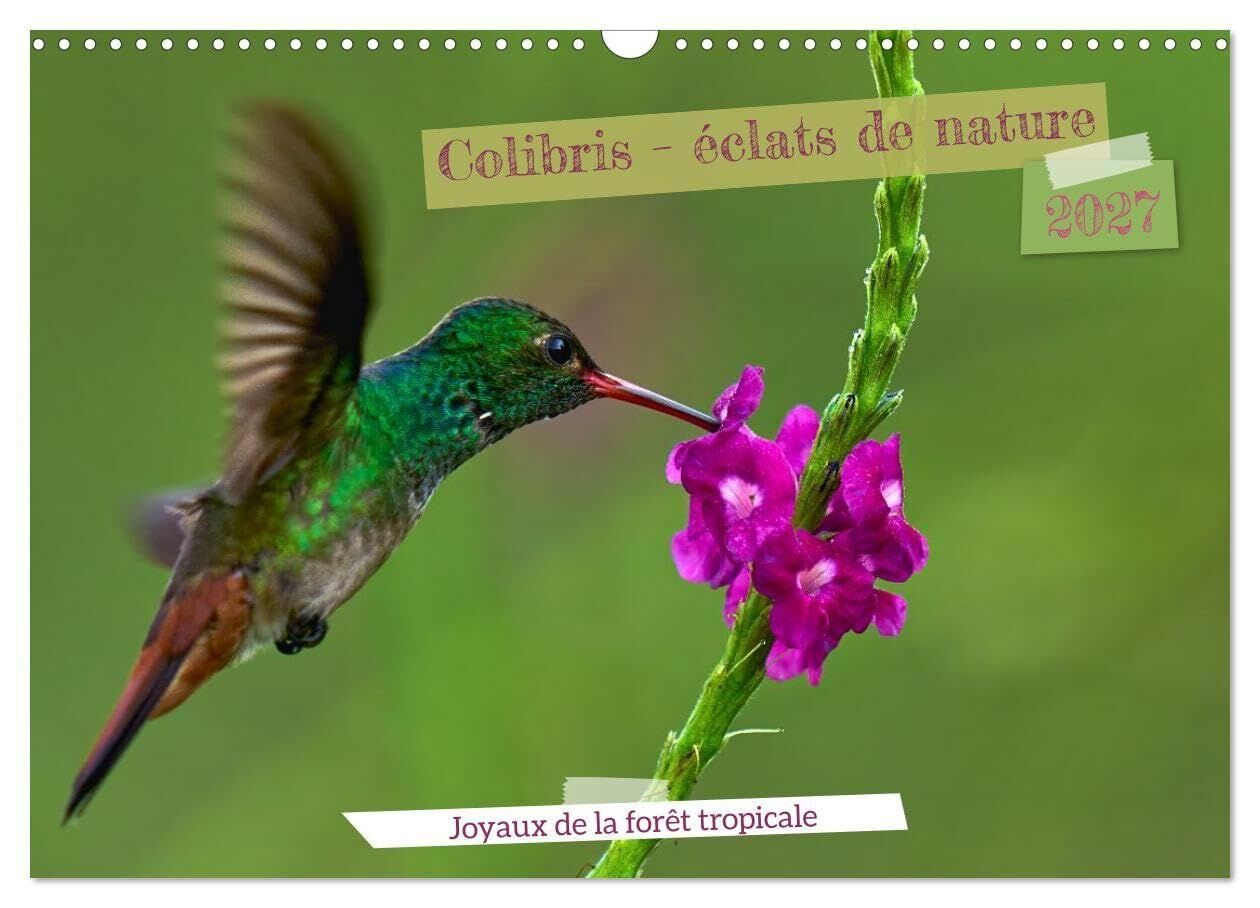 Colibris - éclats de nature (Calendrier mural 2027 DIN A3 vertical), CALVENDO calendrier mensuel