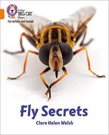 Fly Secrets: Band 06/Orange (Collins Big Cat Phonics for Letters and Sounds)