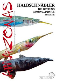 Halbschnäbler: Die Gattung Nomorhamphus (Amazonas / Süßwasseraquaristik-Buchreihe)