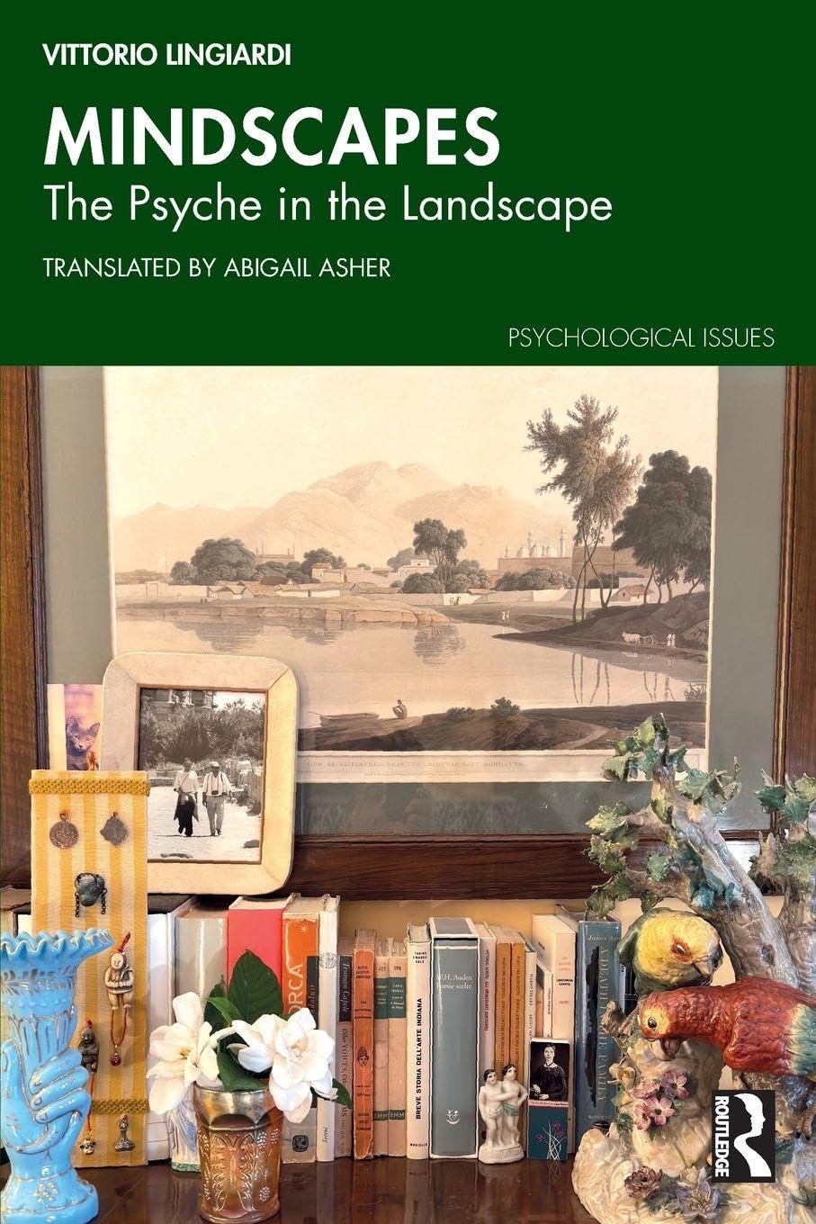 Mindscapes: The Psyche in the Landscape (Psychological Issues)