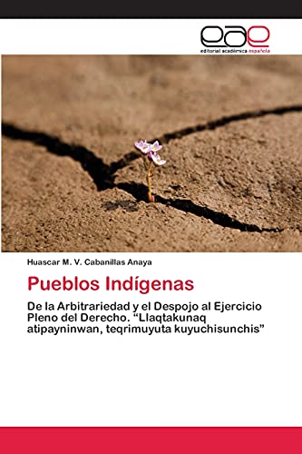 Pueblos Indígenas: De la Arbitrariedad y el Despojo al Ejercicio Pleno del Derecho. “Llaqtakunaq atipayninwan, teqrimuyuta kuyuchisunchis”