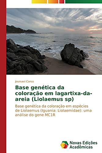 Base genética da coloração em lagartixa-da-areia (Liolaemus sp): Base genética da coloração em espécies de Liolaemus (Iguania: Liolaemidae): uma análise do gene MC1R