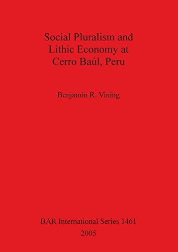 Social Pluralism and Lithic Economy at Cerro Baúl, Peru (British Archaeological Reports British Series, Band 1461)