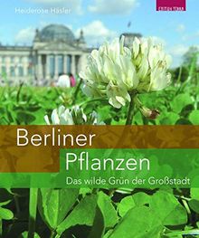 Berliner Pflanzen: Das wilde Grün der Großstadt