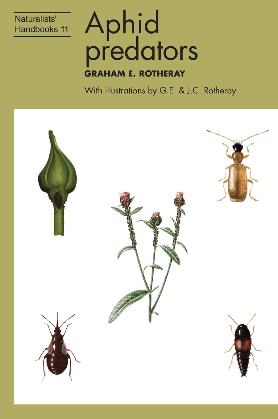Aphid predators (Naturalists' Handbooks, Band 11)
