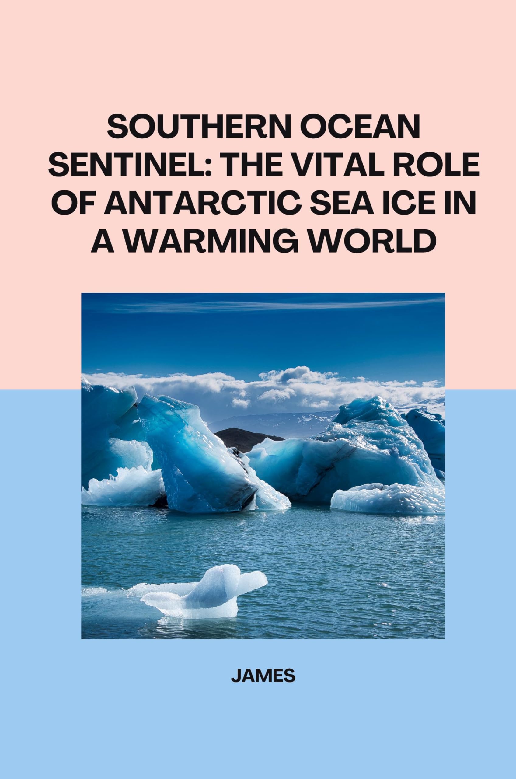 Southern Ocean Sentinel: The Vital Role of Antarctic Sea Ice in a Warming World: DE