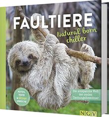 Faultiere-Natural born chiller: Die entspannte Welt der coolen Dschungelbewohner