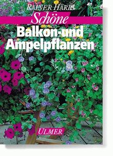 Schöne Balkonpflanzen und Ampelpflanzen