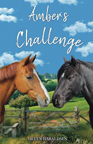 Amber's Challenge (Amber's Pony Tales, Band 4)