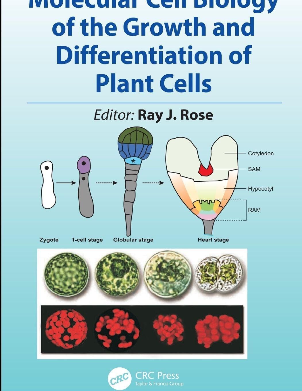 Molecular Cell Biology of the Growth and Differentiation of Plant Cells