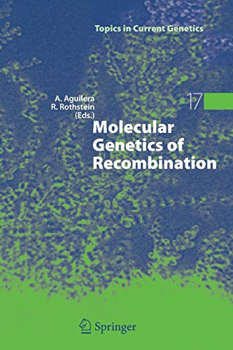 Molecular Genetics of Recombination (Topics in Current Genetics, 17, Band 17)